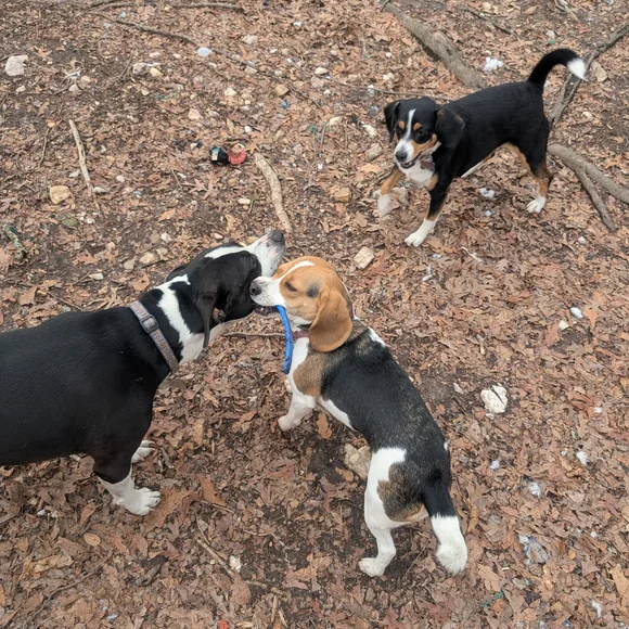 PROCAKE IS LIVE! SOS (SELL OUR SHIIIIIITE) SHOW! - Picture 10 of 16